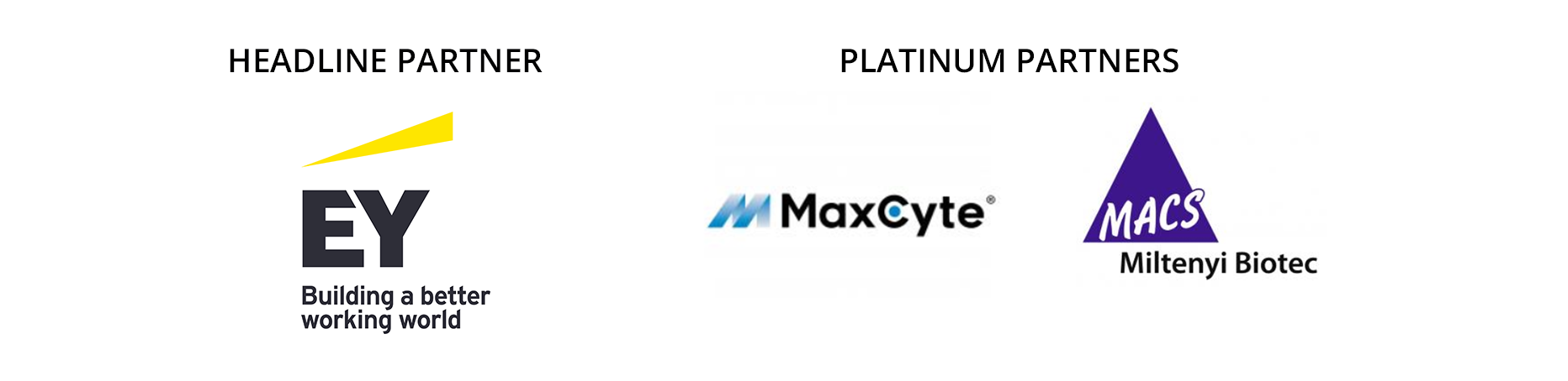 partners_header1.png partners_header1.png